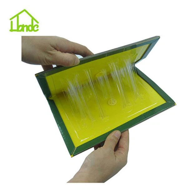 Rat glue trap6