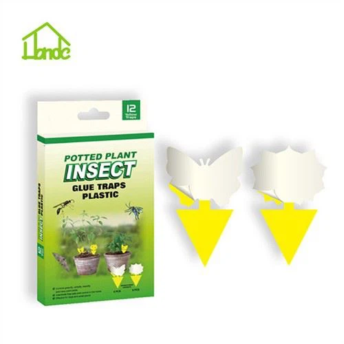 Pasca na hmyz. Pasca na rastliny v kvetináči