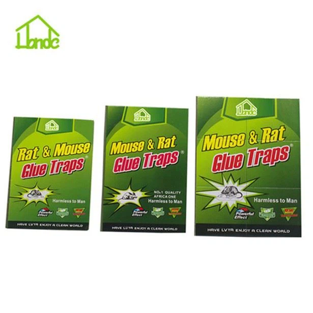 Extra Strength Large Size Rat GLue Trap