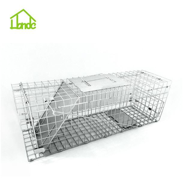 Folded Live Animal Cage Trap