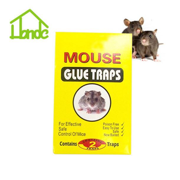 Rat Glue Traps Professional Rodent Control