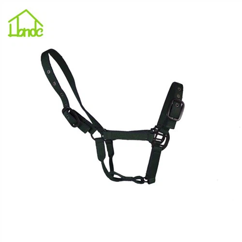 Vlastné personalizované ohlávky pre konské kone